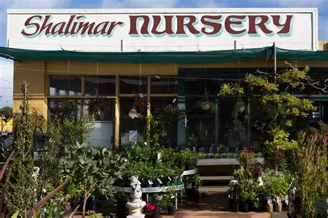 Nursery In Ranchi oip (3)