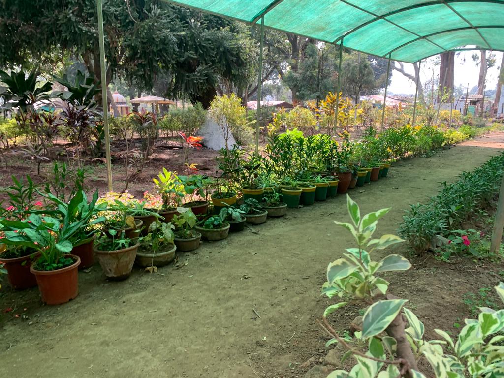 Nursery In Ranchi nur10726202321009pm